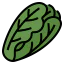 Lettuce icon 64x64