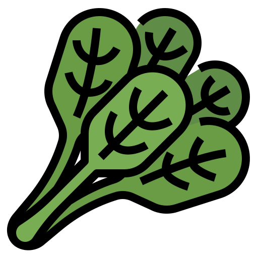 Spinach icon