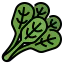 Spinach icon 64x64