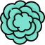Carnation アイコン 64x64
