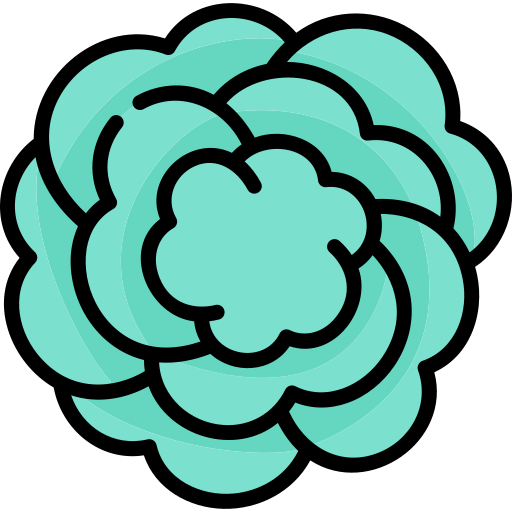 Carnation icon
