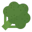 Broccoli icon 64x64