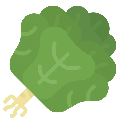 Vegetable icon