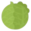 Cabbage icon 64x64