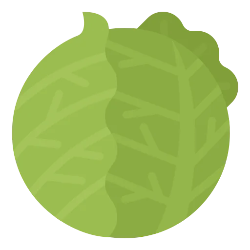 Cabbage icon