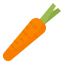 Carrot icon 64x64