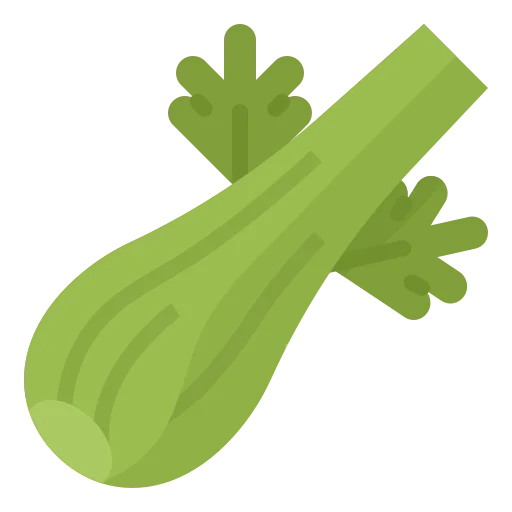 Celery icon