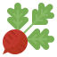 Radishes icon 64x64