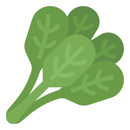 Spinach icon