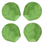 Sprouts icon 64x64