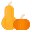 Squash icon 64x64