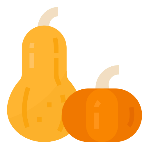 Squash icon