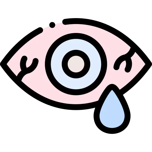 Conjunctivitis icon