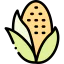 Corn 图标 64x64