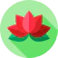 Lotus icon 64x64