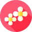Flowers icon 64x64