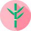 Bamboo icon 64x64