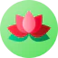Lotus icon 64x64
