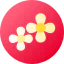 Flowers icon 64x64