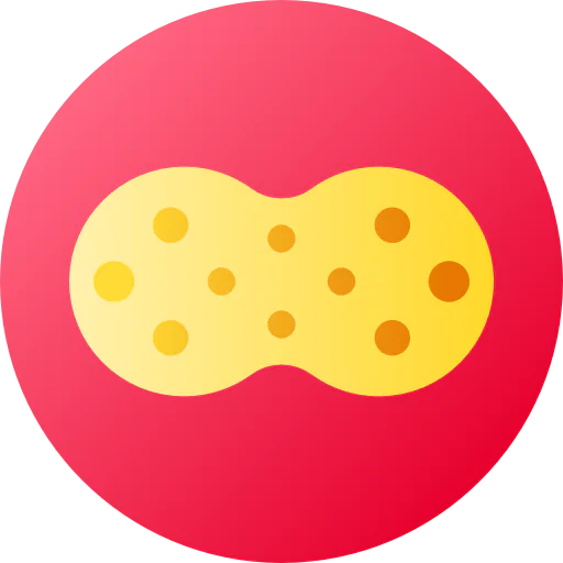 Sponge icon