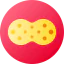 Sponge icon 64x64