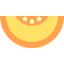 Melon icon 64x64