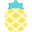Pineapple 图标 64x64