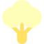 Cauliflower 图标 64x64