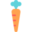 Carrot ícono 64x64