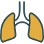 Lungs icon 64x64
