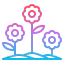 Flowers 图标 64x64