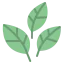 Leaves 图标 64x64