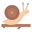 Snail 图标 64x64