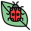 Ladybug 图标 64x64