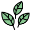 Leaves 图标 64x64