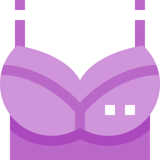Brassiere icon