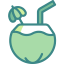 Coconut 图标 64x64