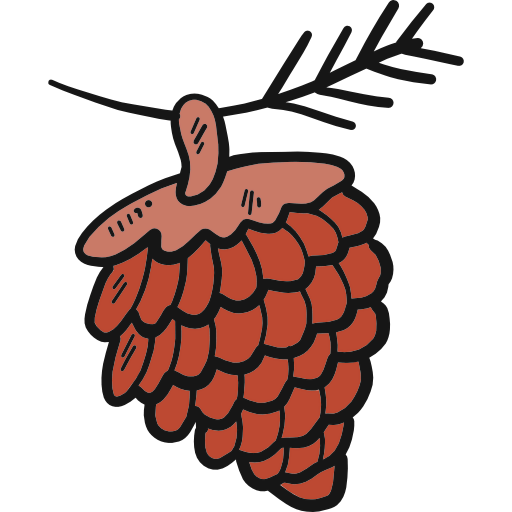 Pine nut icon