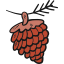 Pine nut アイコン 64x64