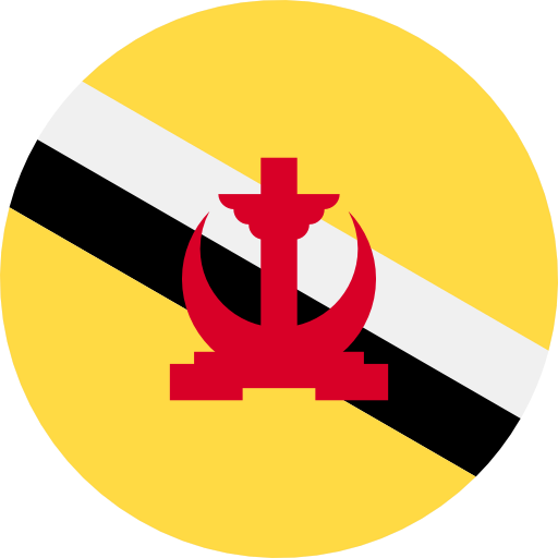 Brunei іконка