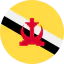Brunei icon 64x64