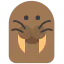 Sea lion icon 64x64