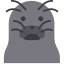 Seal icon 64x64