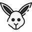Arctic hare icon 64x64
