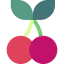 Cherry 상 64x64