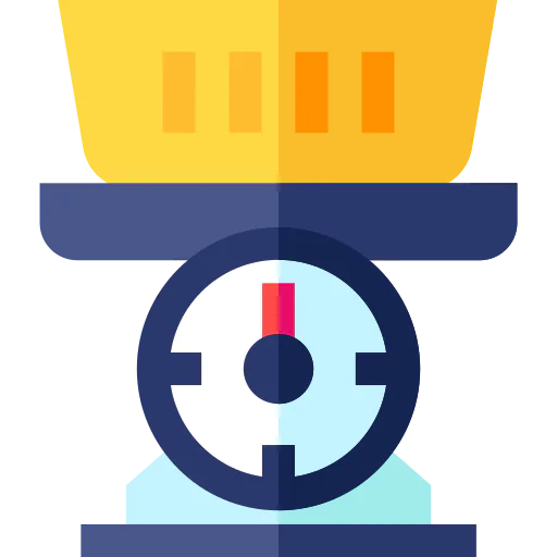 Scale icon