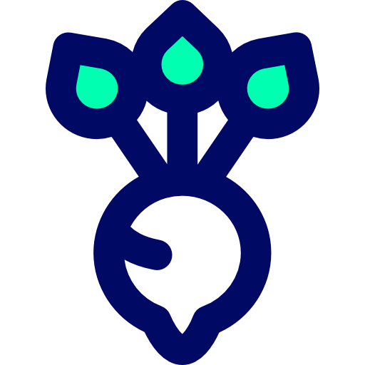 Beetroot icon