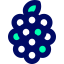 Raspberry ícono 64x64