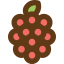 Raspberry ícono 64x64