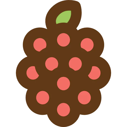 Raspberry アイコン